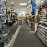 IMG_3273-min-225x300