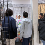 Screenshot 2026-04-08 113126